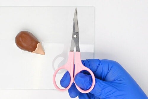 Clay Hedgehog