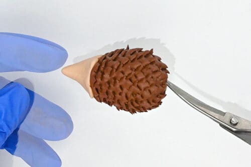 Clay Hedgehog