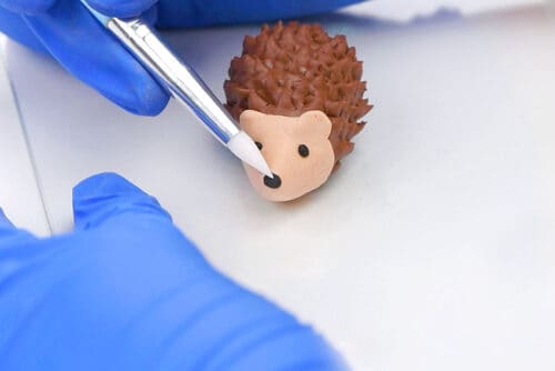 Clay Hedgehog