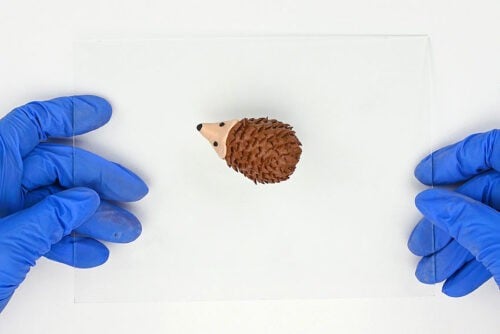 Clay Hedgehog