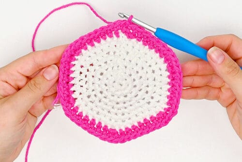 Crochet Fruit Coasters