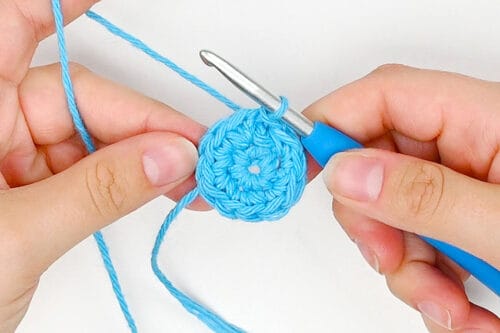 Crochet Fruit Coasters