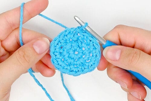 Crochet Fruit Coasters