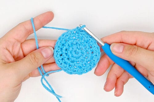 Crochet Fruit Coasters