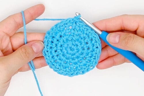 Crochet Fruit Coasters