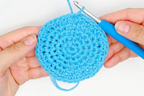 Crochet Fruit Coasters