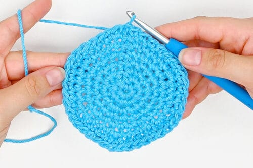 Crochet Fruit Coasters