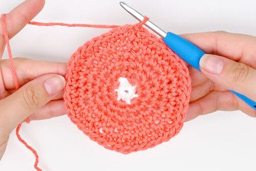 Crochet Fruit Coasters