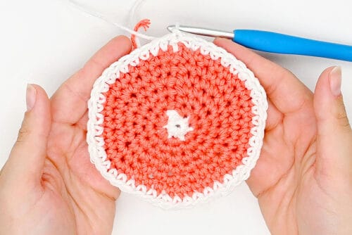 Crochet Fruit Coasters