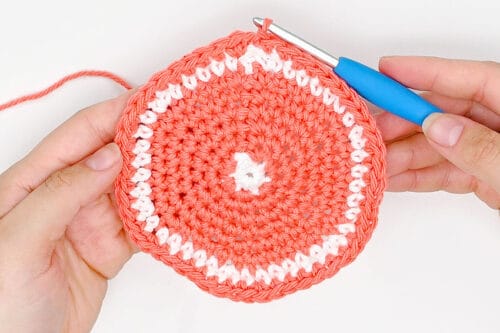 Crochet Fruit Coasters