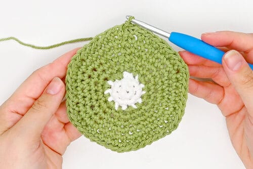 Crochet Fruit Coasters