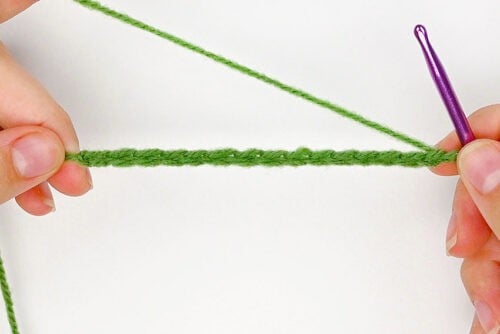 Crochet Cactus