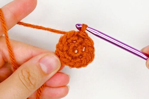 Crochet Plant Pot
