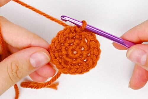 Crochet Plant Pot
