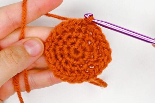 Crochet Plant Pot