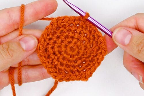 Crochet Plant Pot