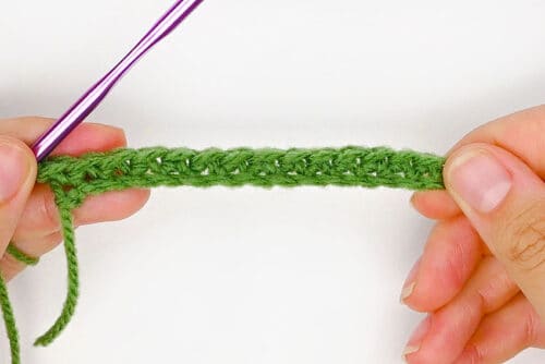 Crochet Cactus