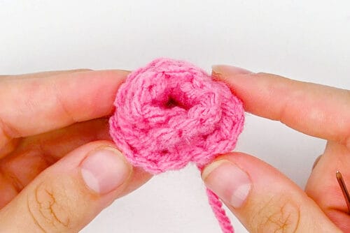 Crochet Cactus Flower