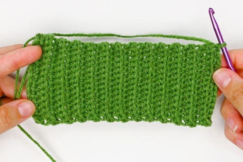 Crochet Cactus