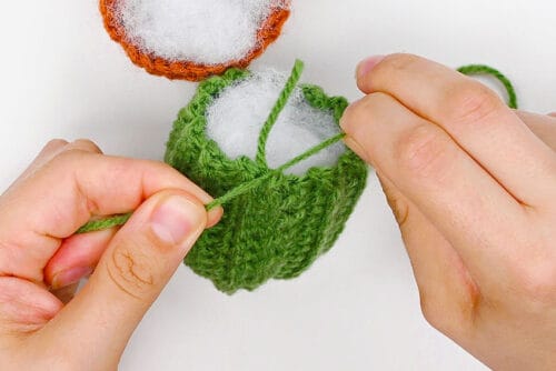 Crochet Cactus