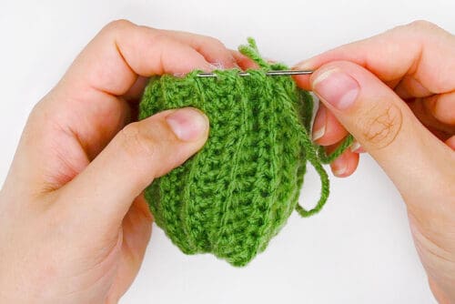 Crochet Cactus