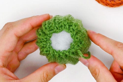 Crochet Cactus