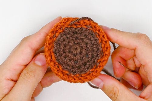 Crochet Cactus