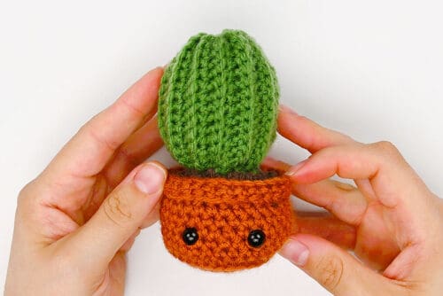 Crochet Cactus