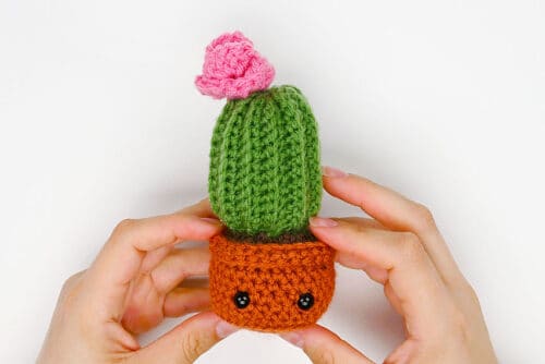 Crochet Cactus