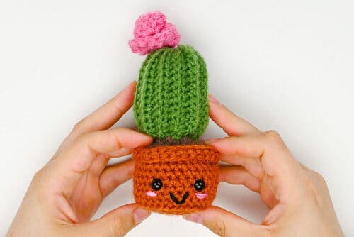 Crochet Cactus