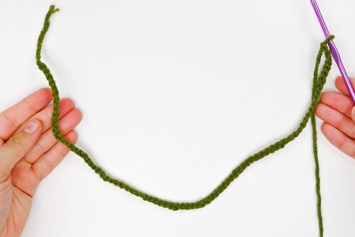 Crochet Succulent