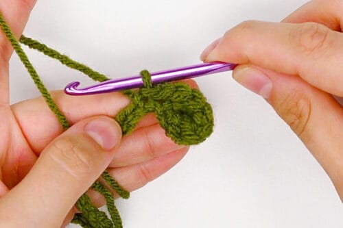 Crochet Succulent
