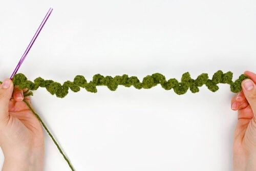 Crochet Succulent