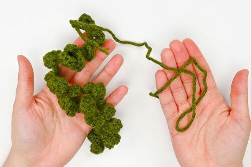 Crochet Succulent