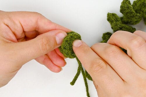 Crochet Succulent