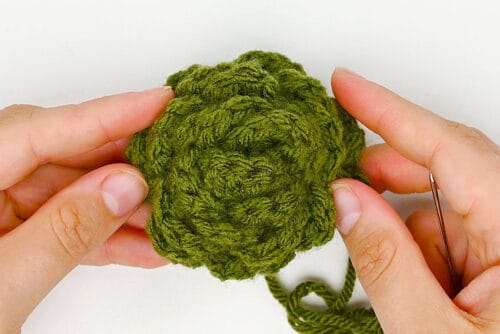 Crochet Succulent