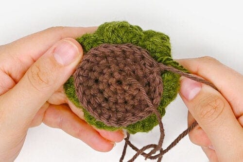 Crochet Succulent
