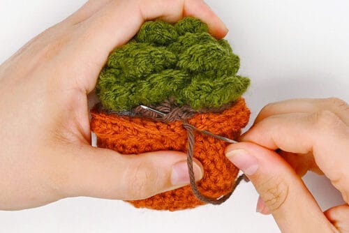 Crochet Succulent