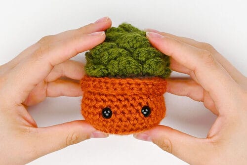 Crochet Succulent