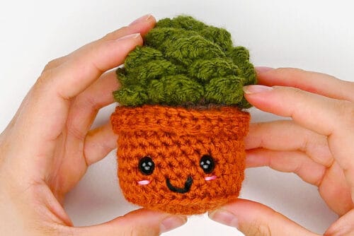 Crochet Succulent