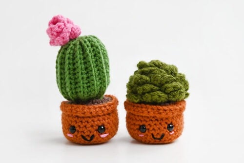 Crochet Succulent