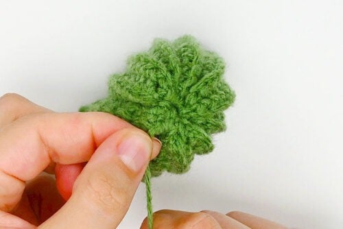 Crochet Cactus