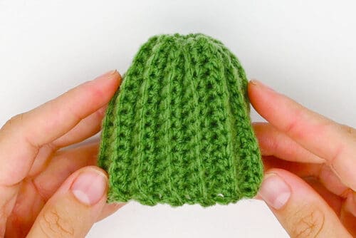 Crochet Cactus