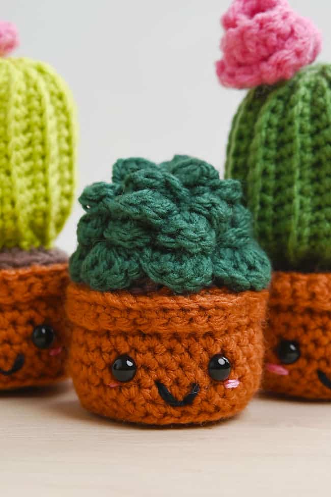 Crochet Succulent Adorable crochet succulent amigurumi