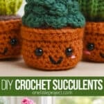 Crochet succulent pattern