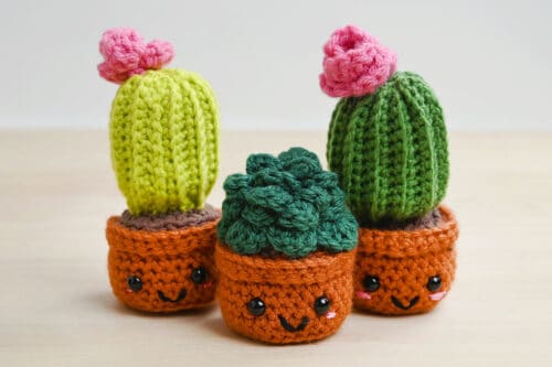 Crochet Succulent