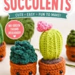 Make adorable succulent plushies with crochet
