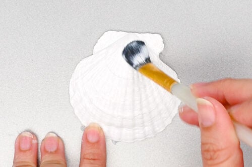 Decoupage Shells