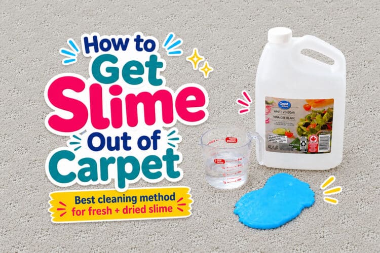 How to Get Slime Out of Carpet Getting slime out of carpet