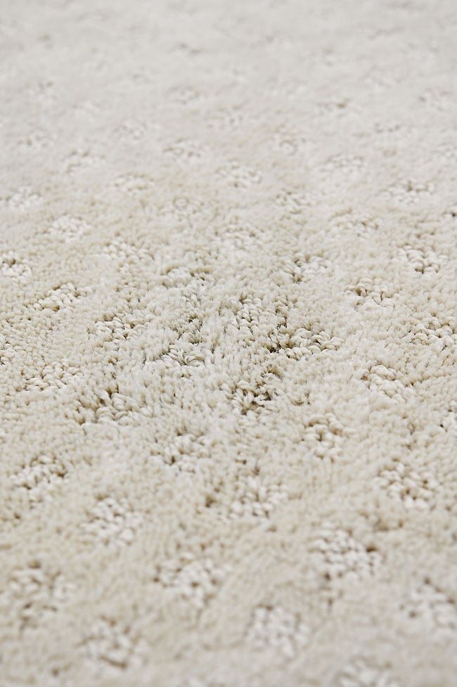 How to Get Dried Slime Out of Carpet Clean carpet after removing slime